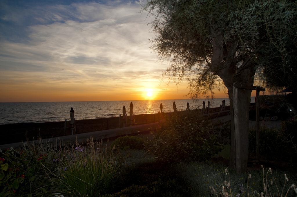 Alle Tamerici Hotel Ladispoli Esterno foto